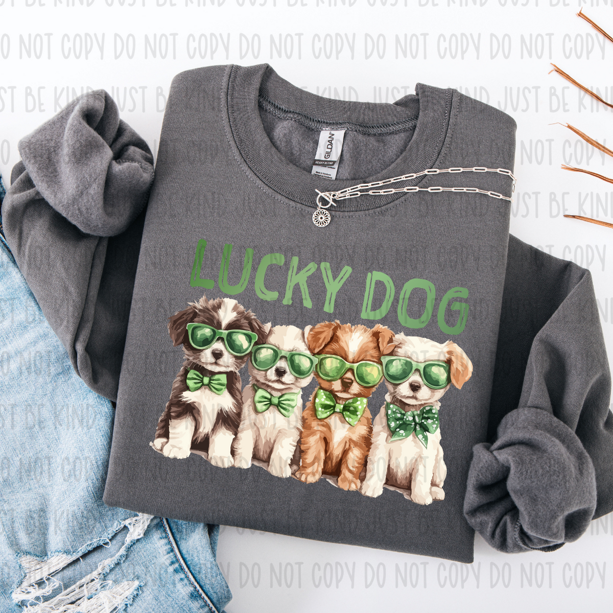 Lucky Dog - TRANSFERS (KPI)