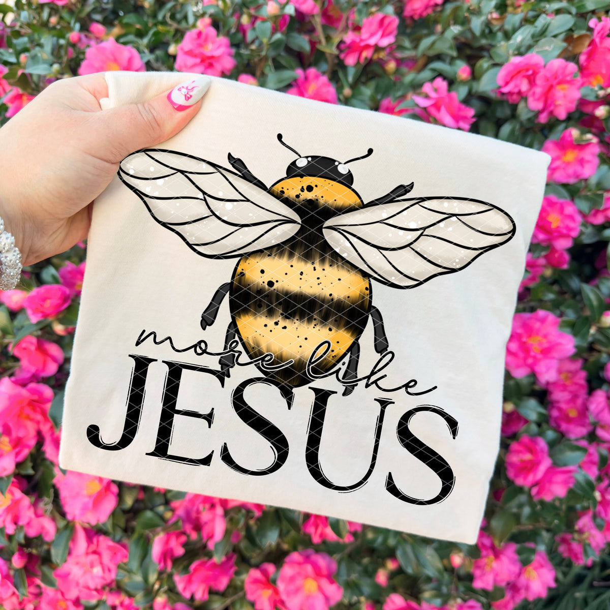 More Like Jesus - TRANSFER (SDD)