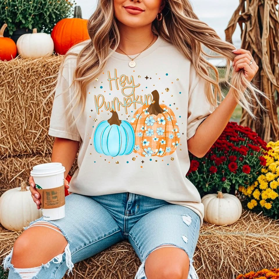 Hey Pumpkin - Transfers (CSC)