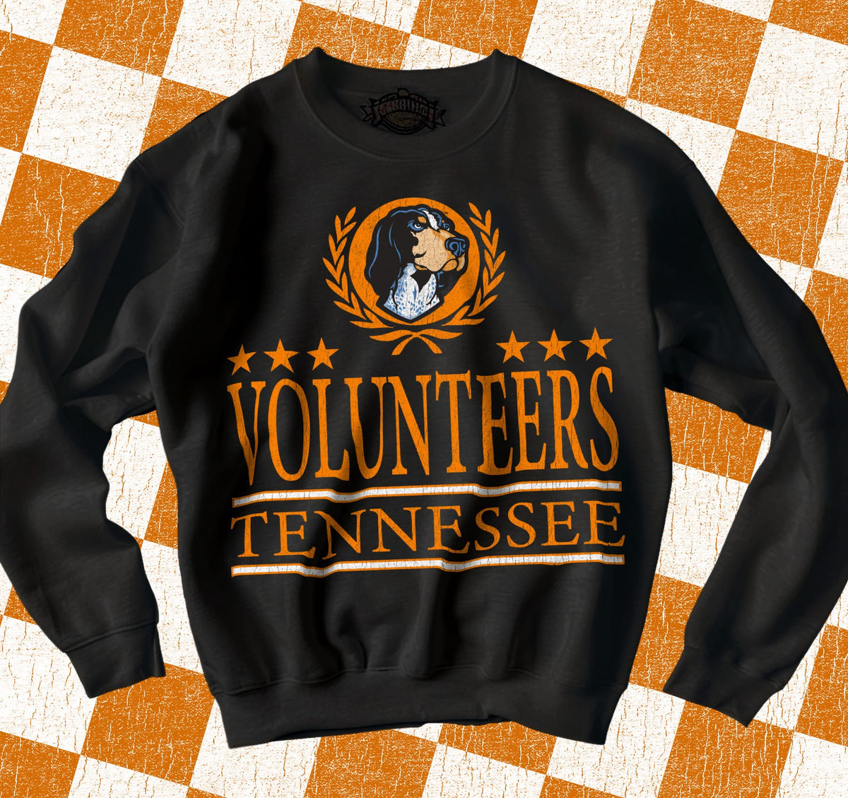 Volunteers - TRANSFER (KPI)