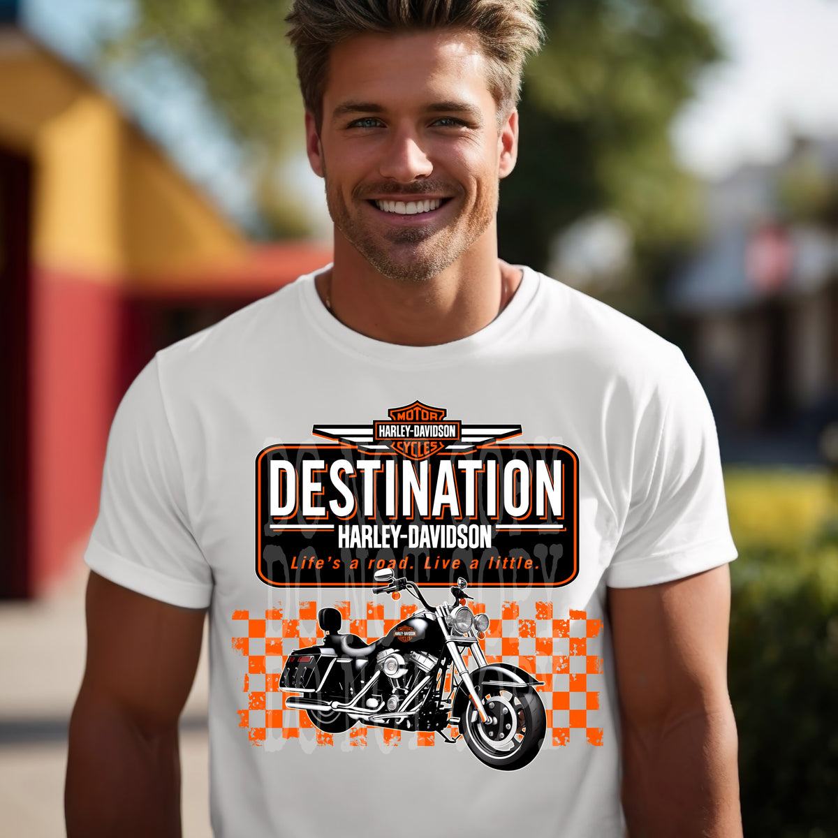 Destination - Transfers (DD)