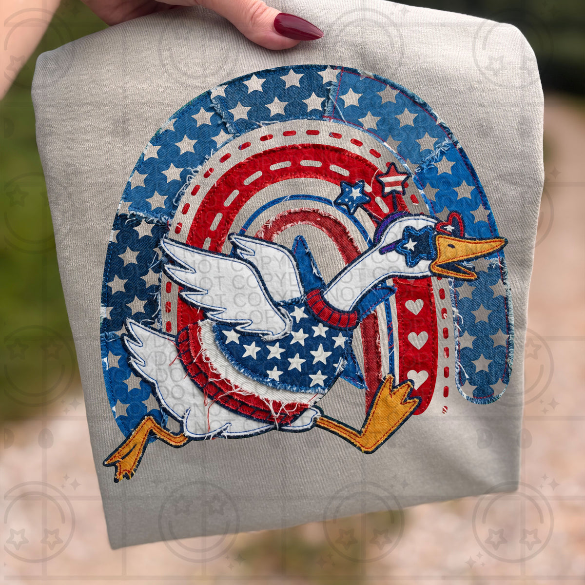 USA Rainbow Goose - TRANSFER (HW)