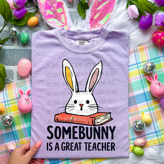 Some Bunny Is A Great Teacher -  TRANSFERS (B)