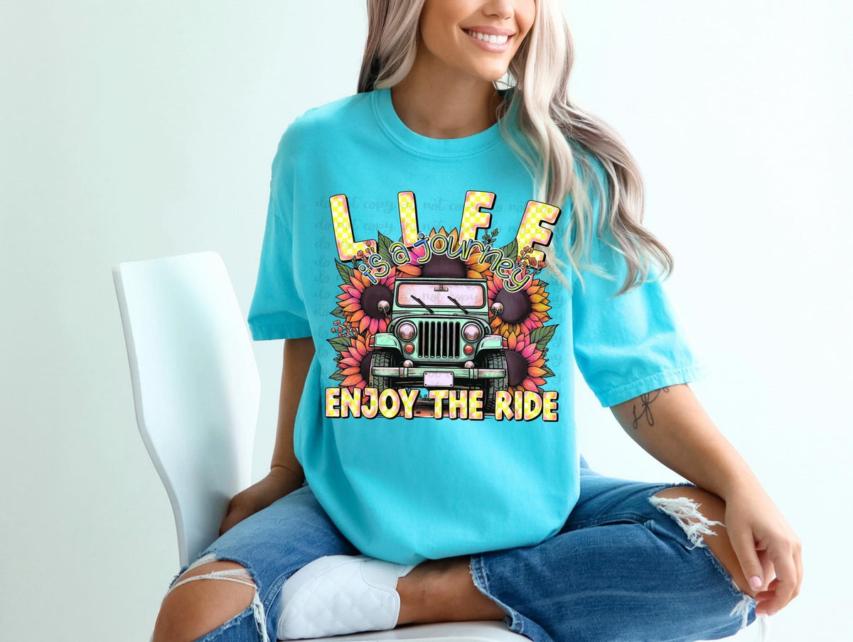 Life is a journey, enjoy the ride- Transfer (TE)