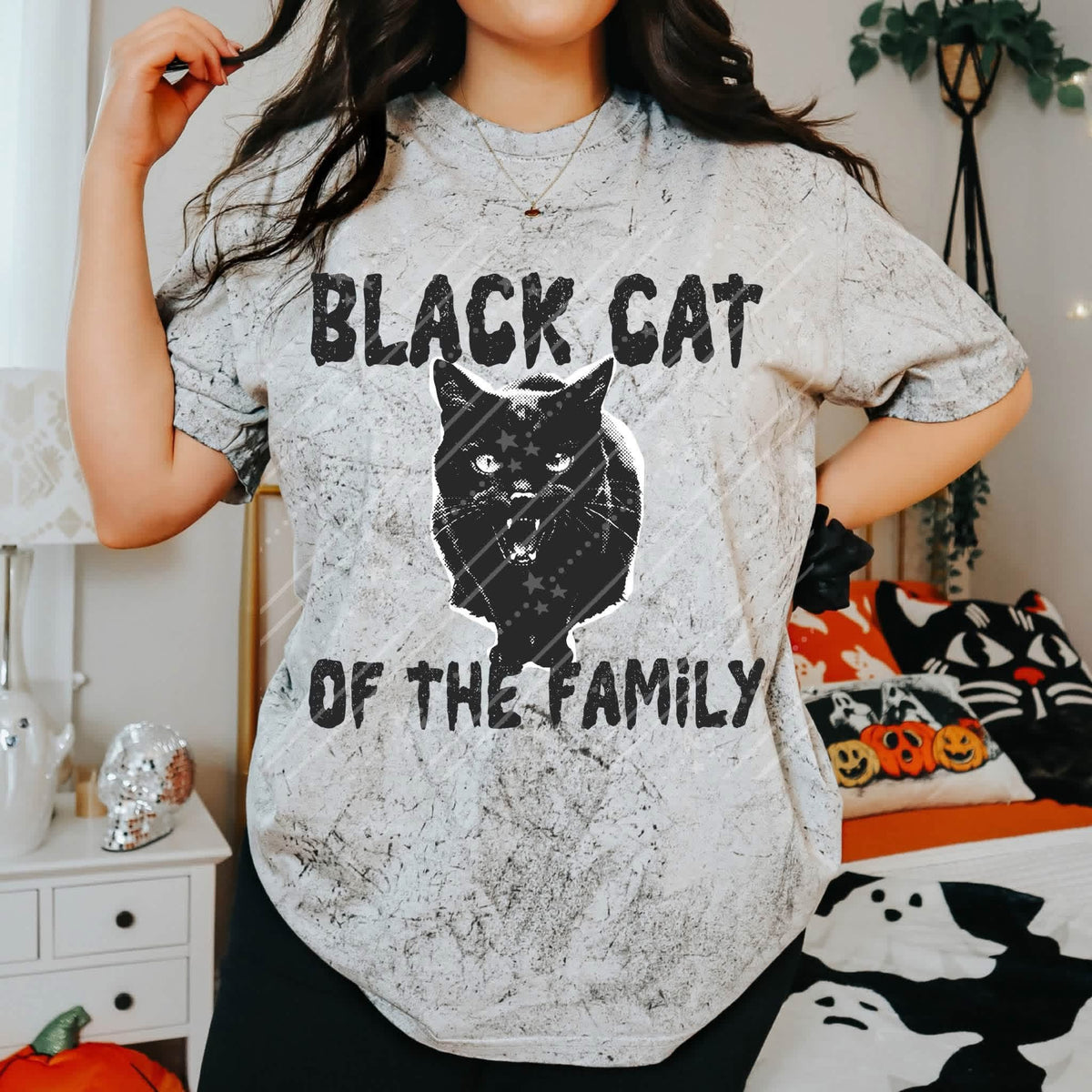 Black Cat  - Transfers (CC)