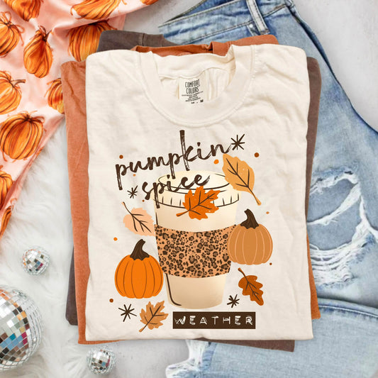 Pumpkin Spice -  Transfers (CSC)