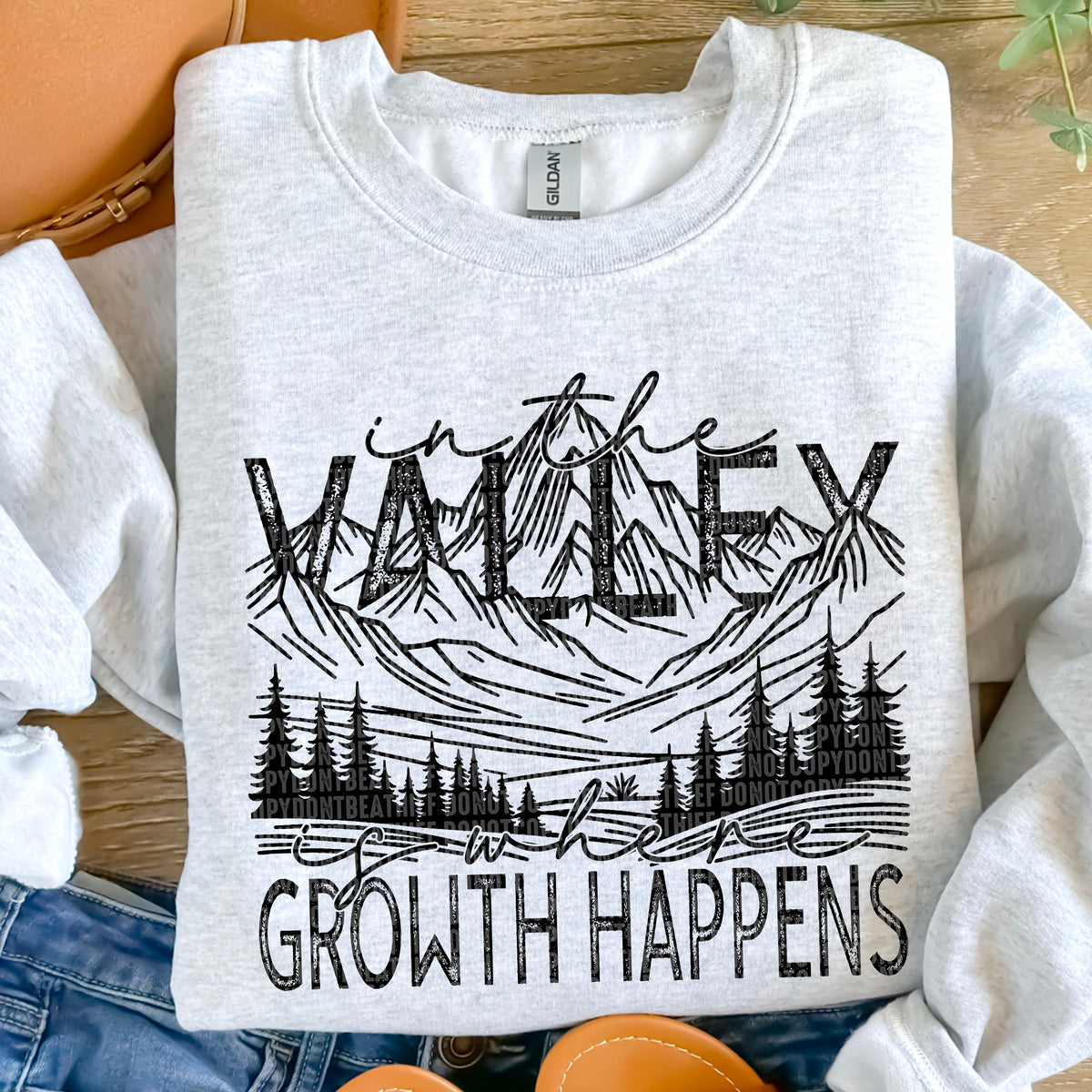 In The Valley - Transfers (SDD)