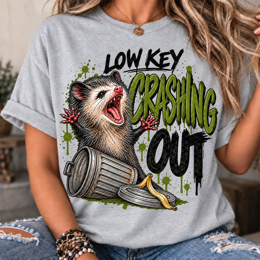 Low Key Crashing - Transfers (SDD)