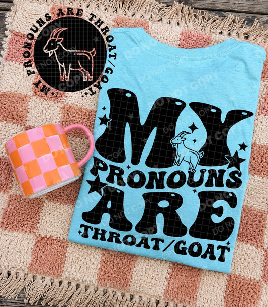 My pronouns Are - Transfers (HW)