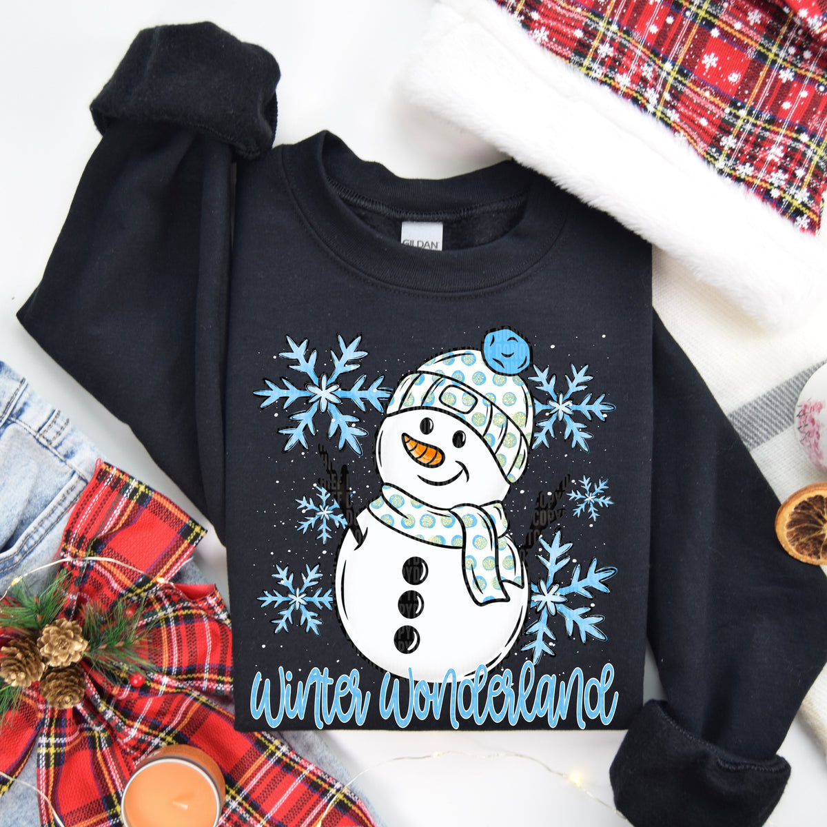 Winter Wonderland - TRANSFER (SDD)